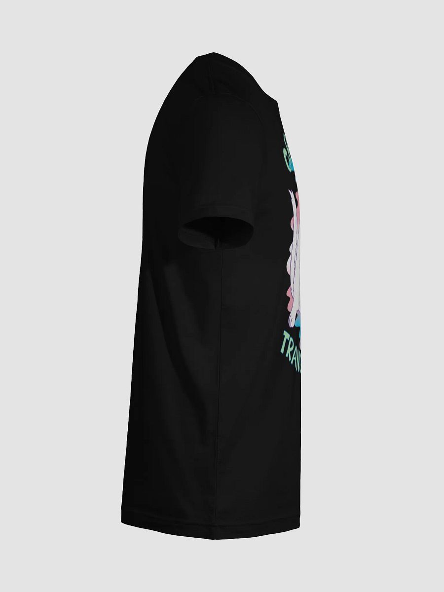 Happy Pride: Transgender T-shirt product image (102)