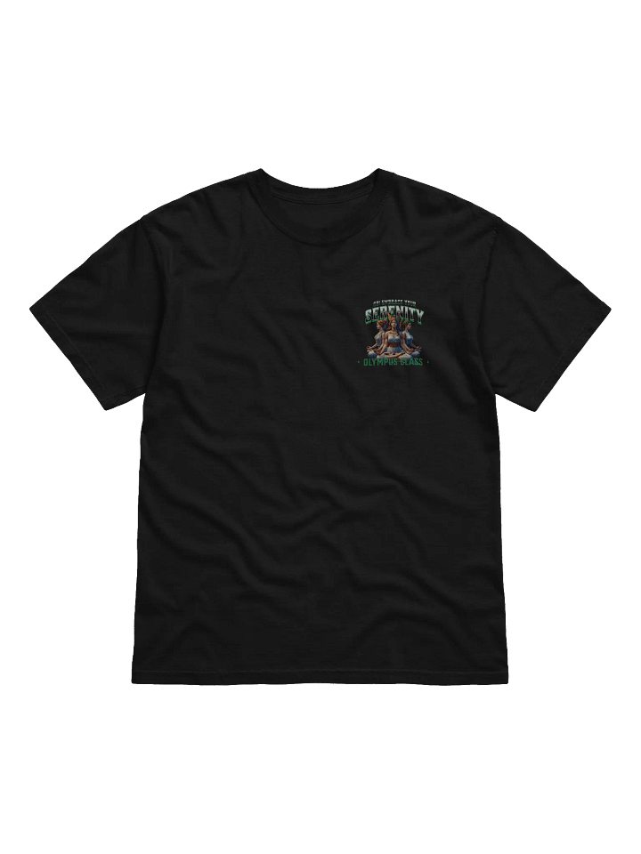 Serenity Embrace Grecian T-Shirt product image (9)