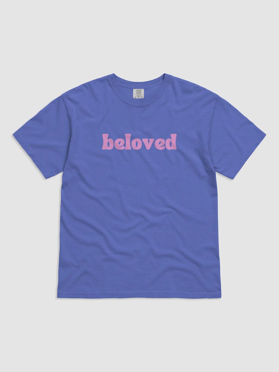 beloved t-shirt product image (5)