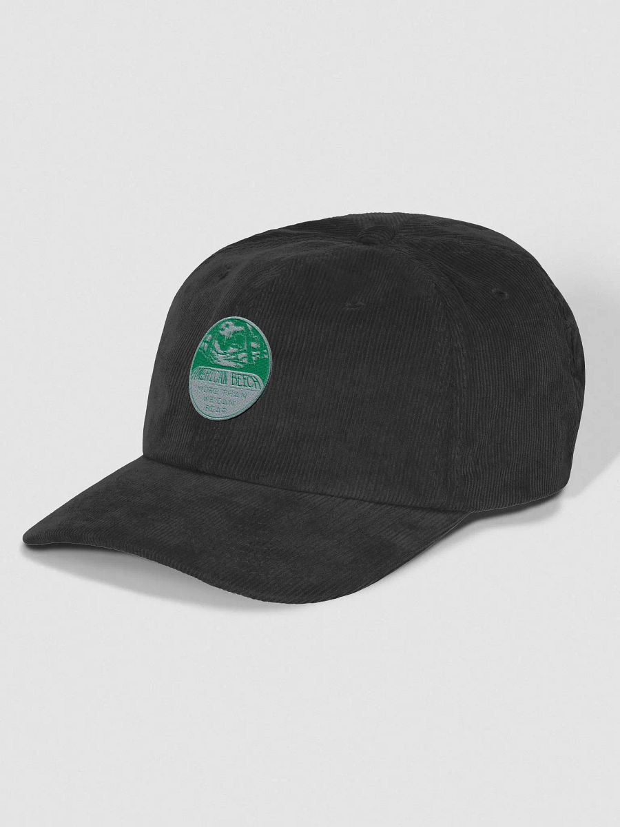 More Than We Can Bear corduroy cap product image (10)