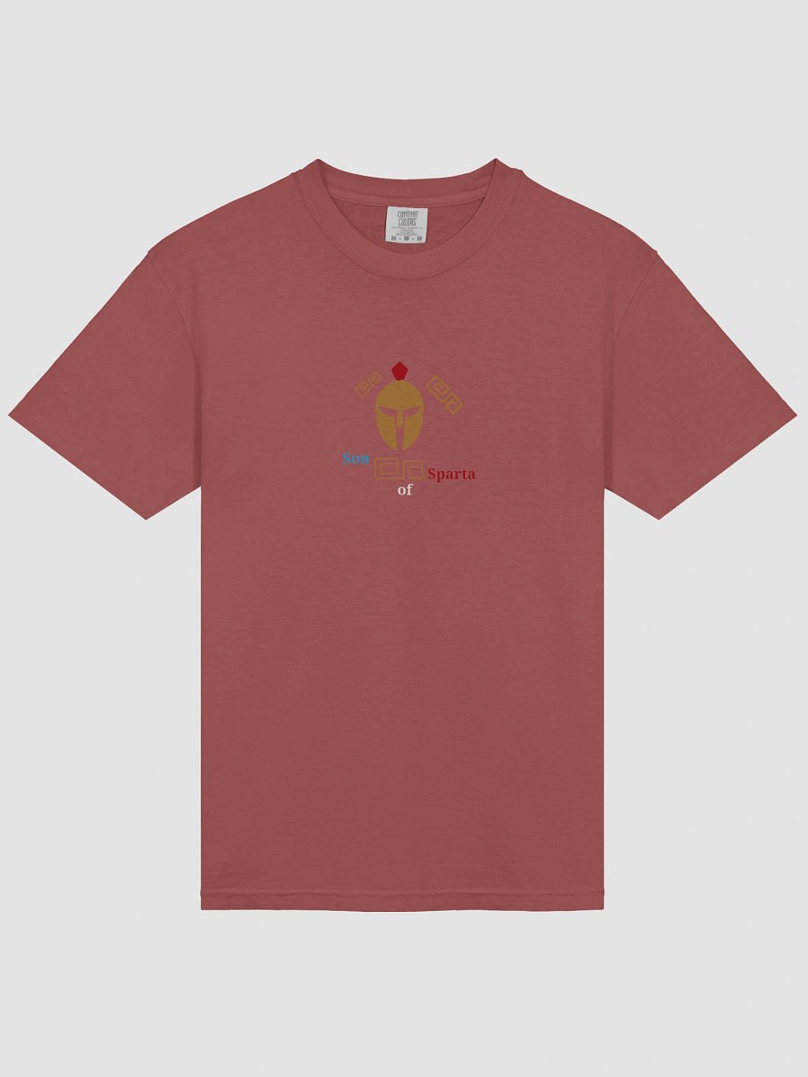 Spartan Pride Geometric Helmet T-Shirt product image (3)