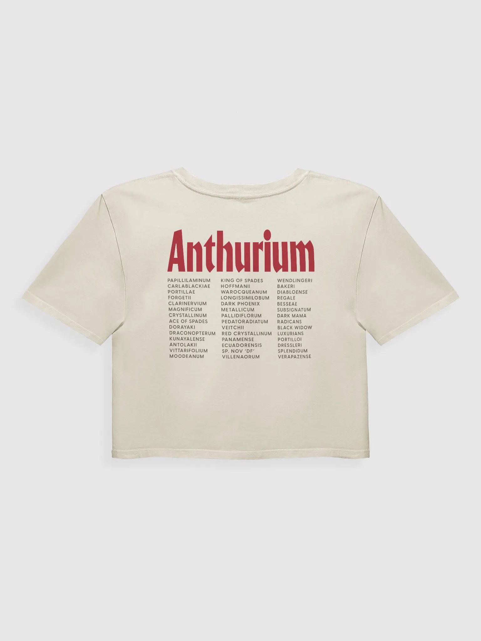 ⚡️ ANTHURIUM WORLD TOUR ⚡️ crop top product image (3)