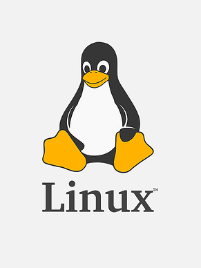 Linux Basic Commands | Make Your Work Easier
