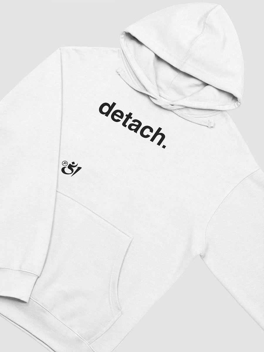 detach. hoodie product image (3)