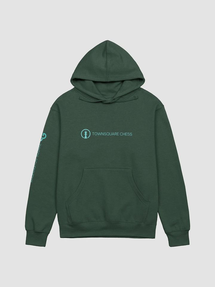 TownSquare Hoodie (Dark) | Wash Square Limited Edition product image (3)