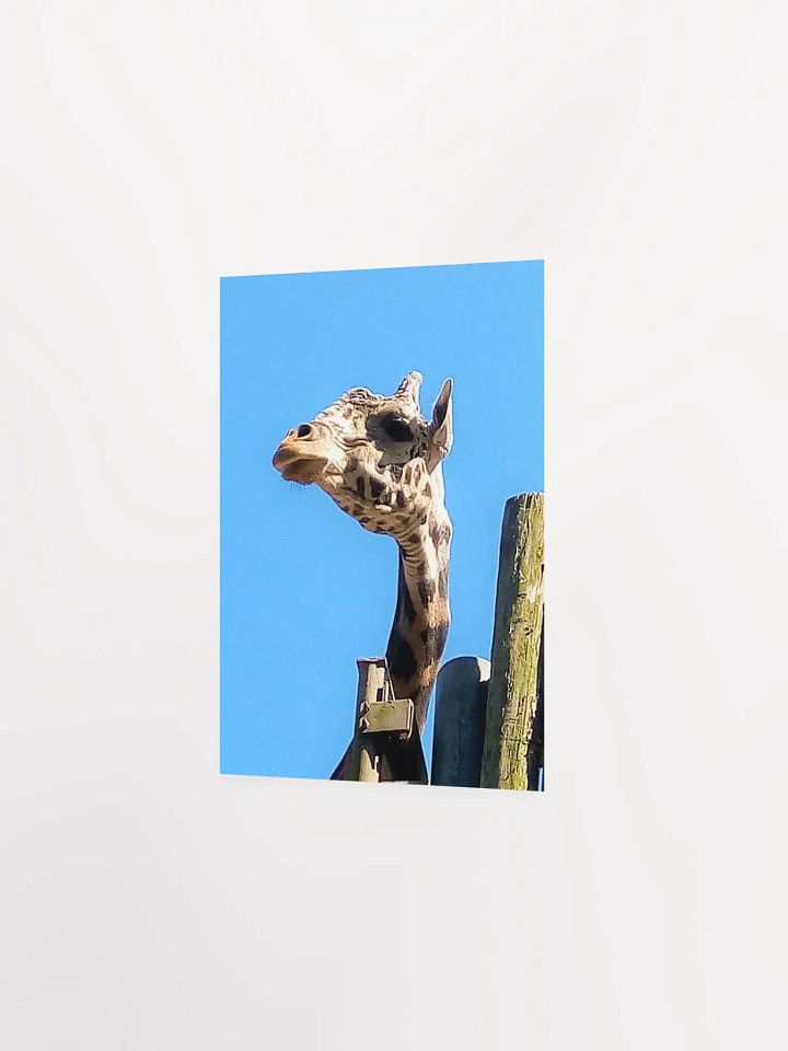 Giraffe Close Up product image (16)