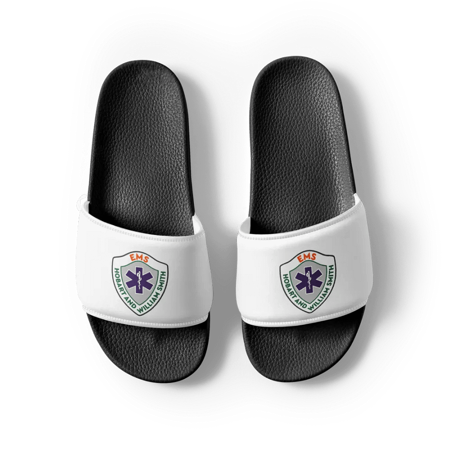 HWS EMS Slides product image (3)