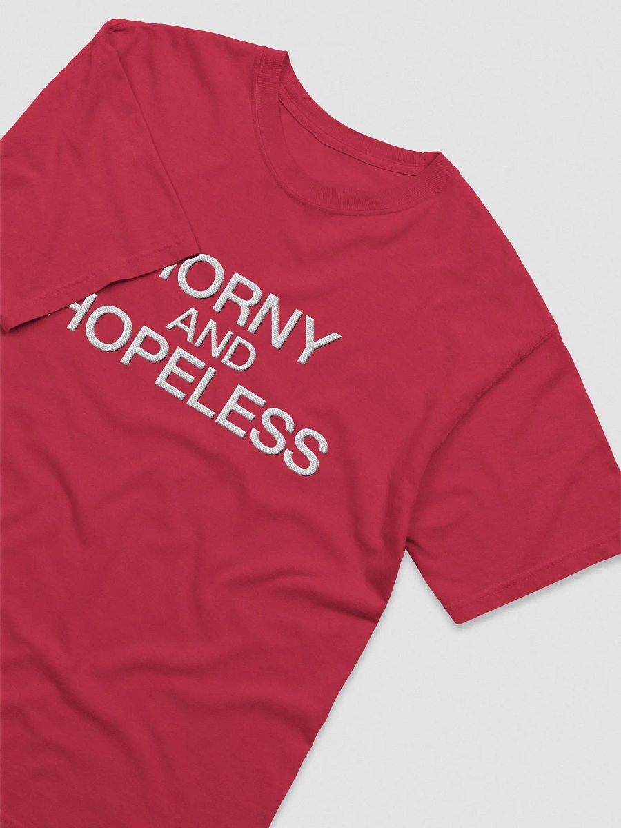 'Horny and Hopeless' Embroidered Tee product image (3)