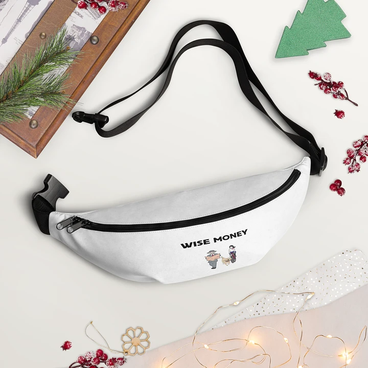 Wise Money Fanny Pack product image (1)