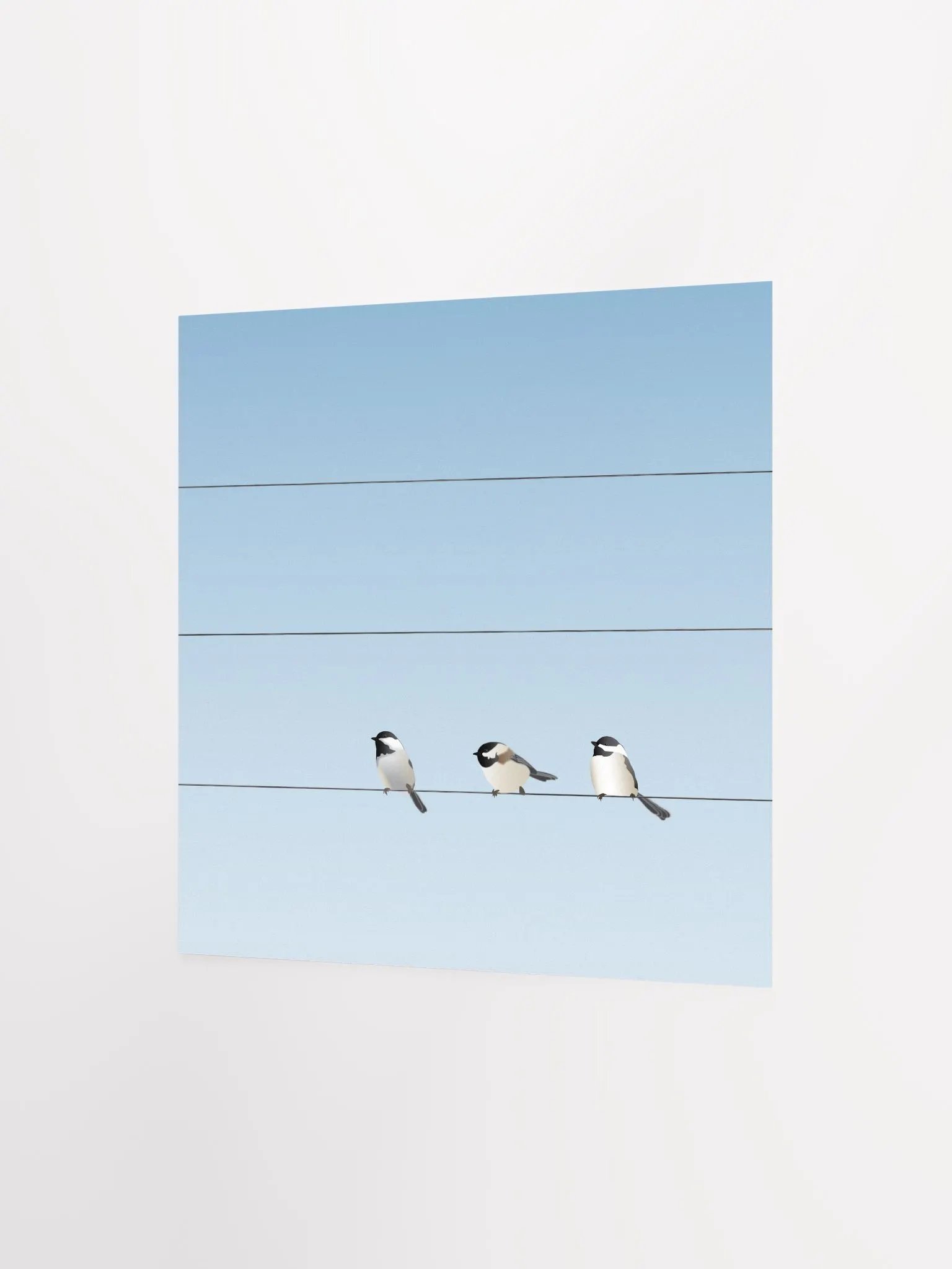 Three Birds on a Wire product image (2)