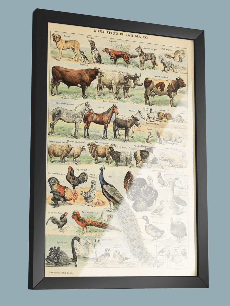 Le Larousse pour tous product image (3)