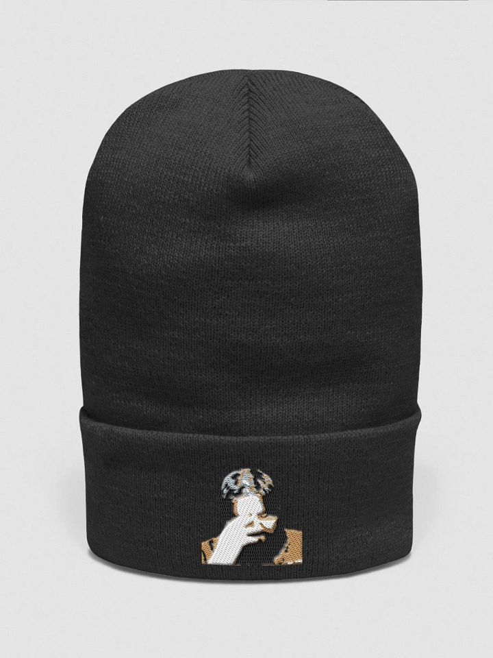 The Facepalm Hat product image (1)