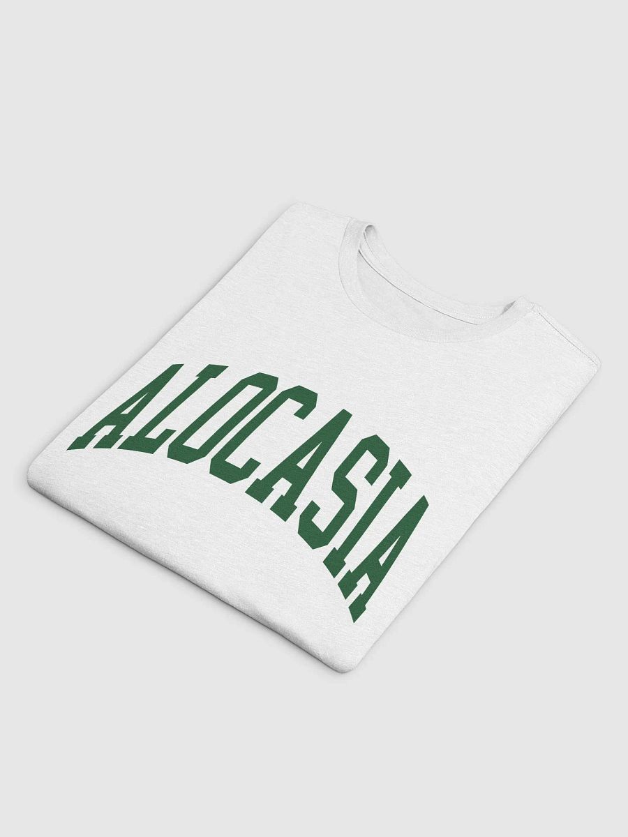 ALOCASIA varsity supersoft unisex tee product image (4)