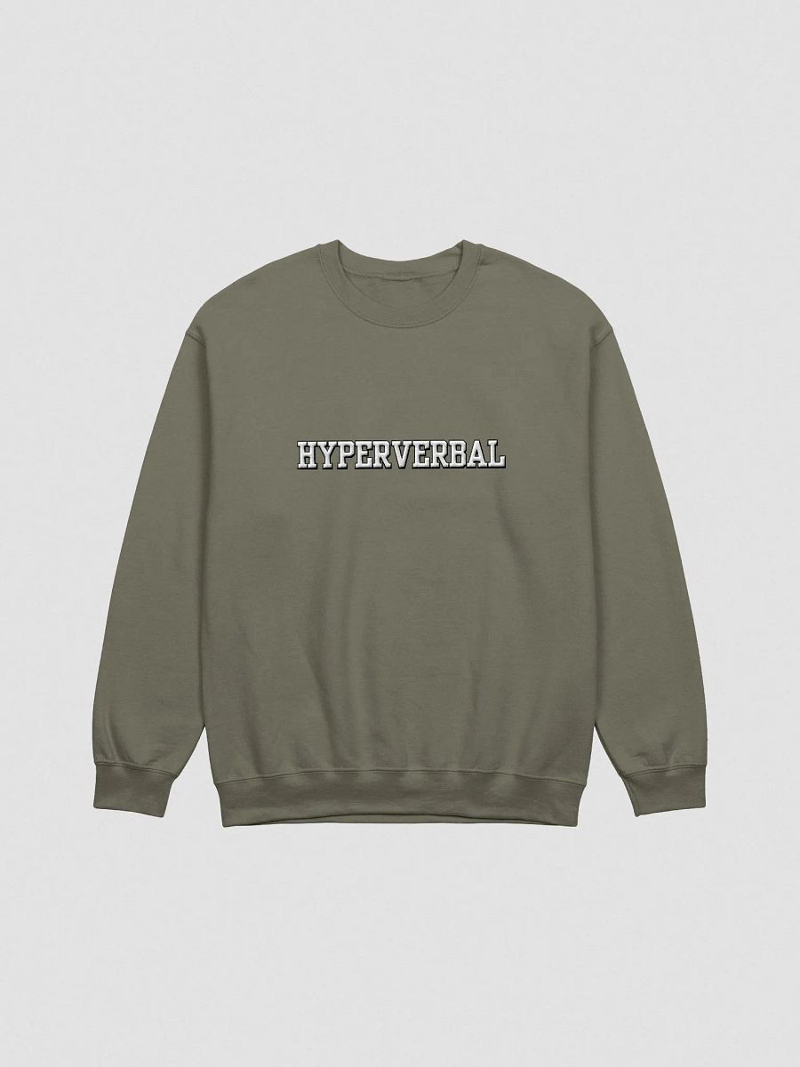 HYPERVERBAL (lg. design) embroidered crewneck product image (16)