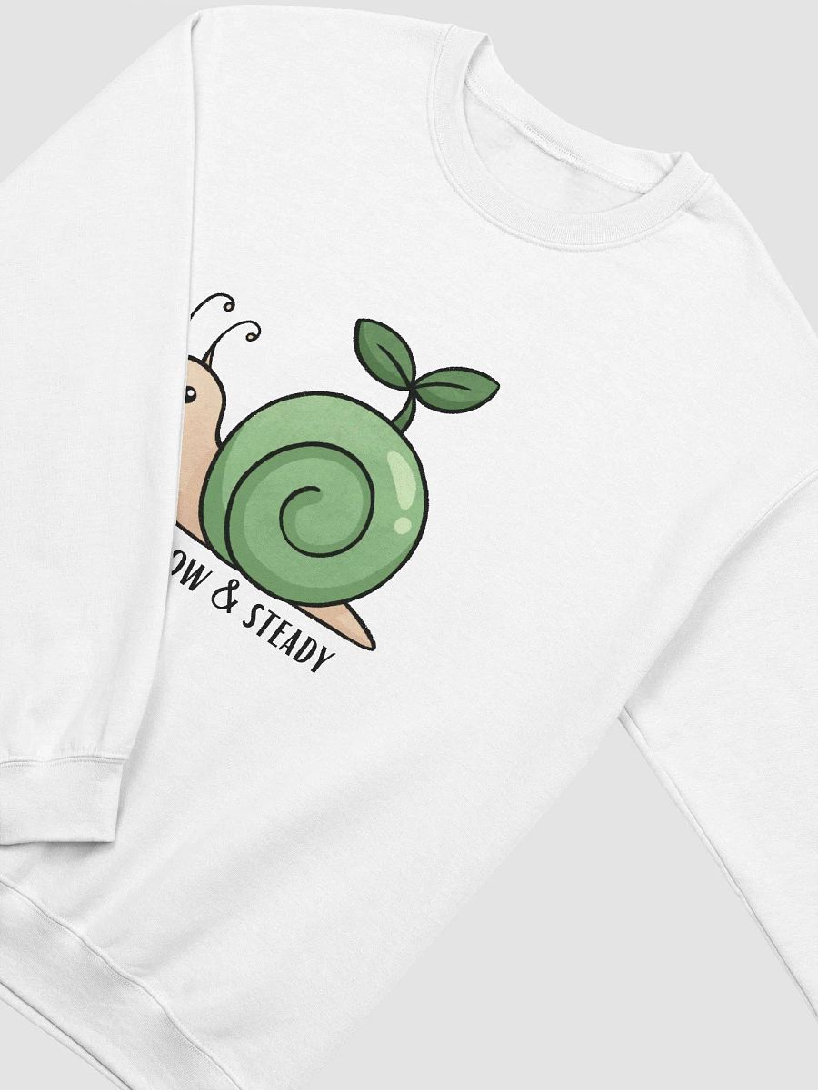 Slow & Steady Snail Sweatshirt product image (43)