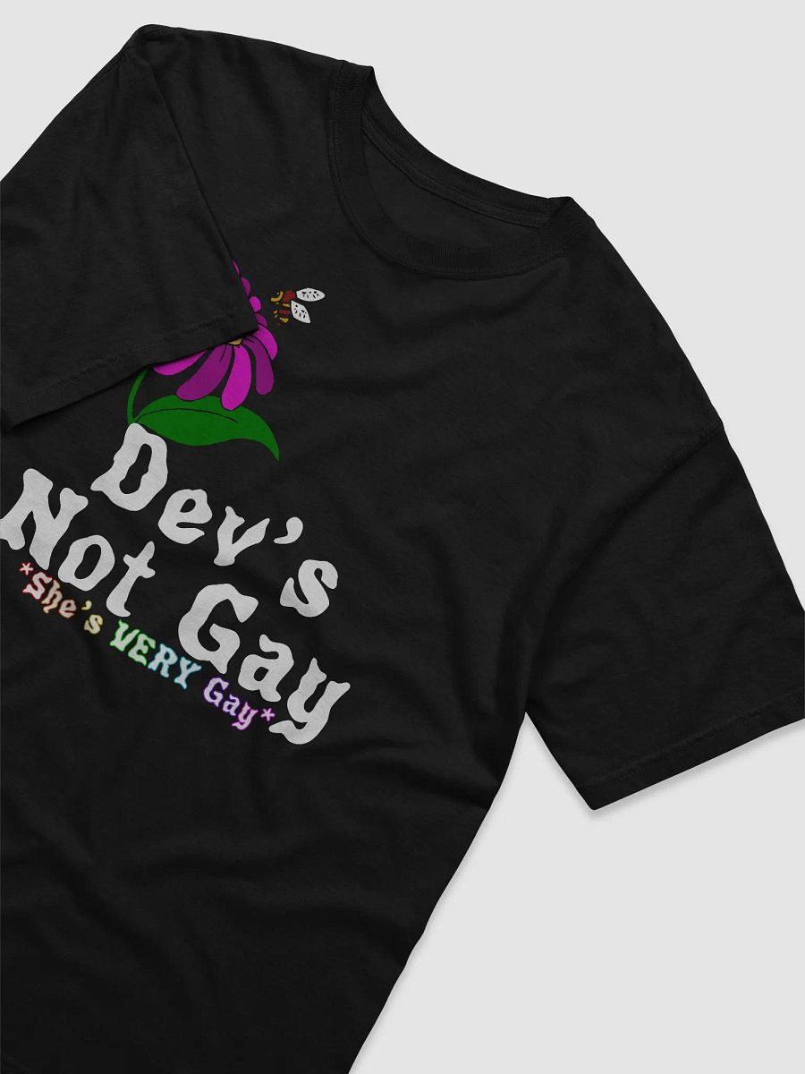 IYKYK- Dev’s not gay Comfort Tee product image (2)