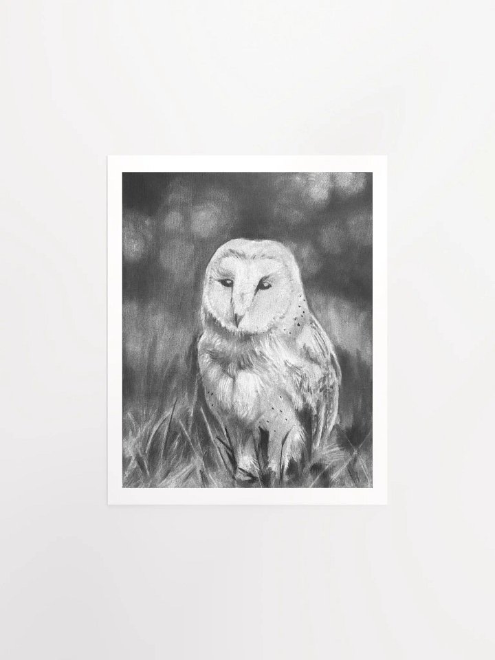 Owl - Print product image (3)