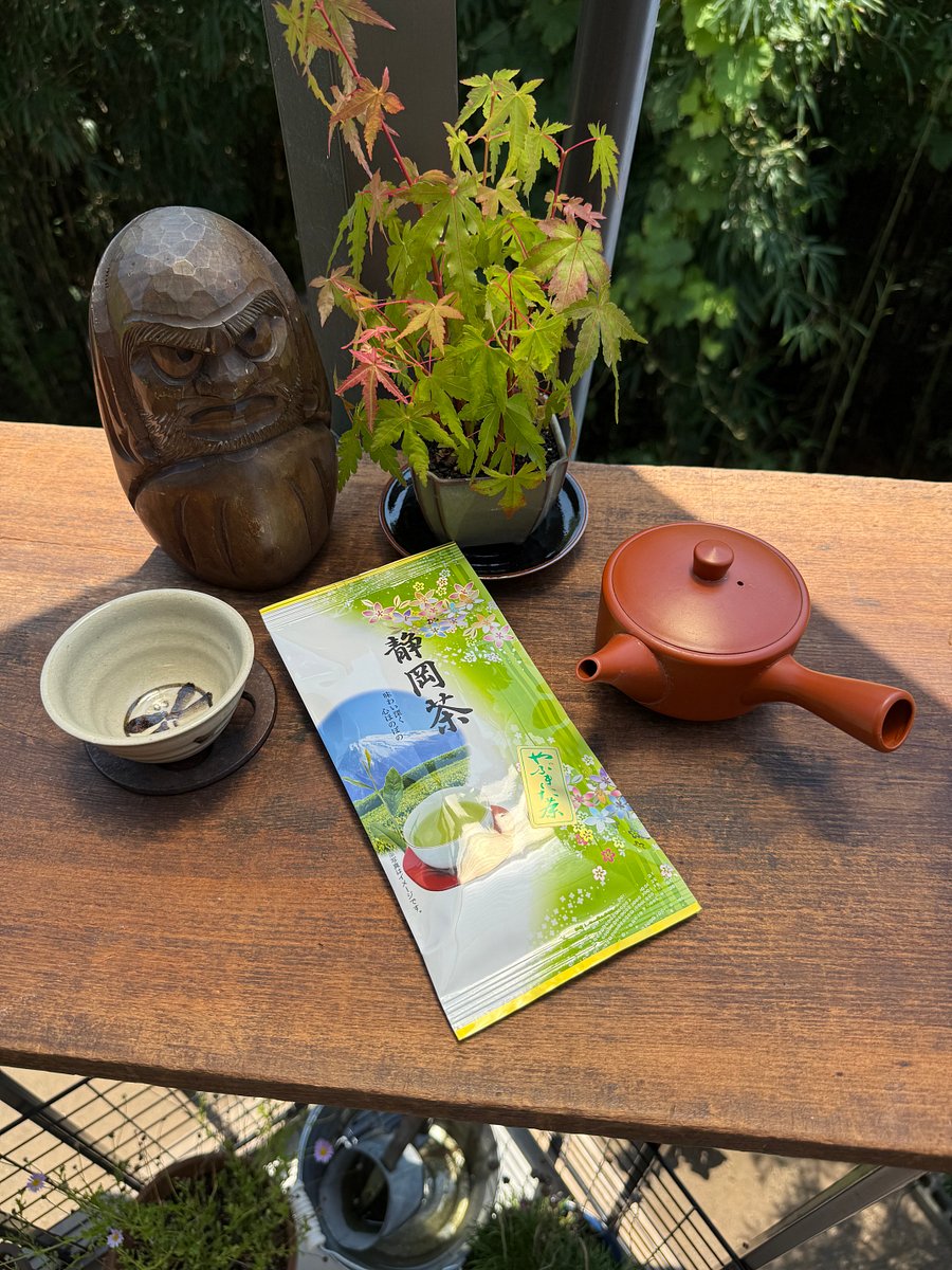 🎎 Premium Shizuoka Sencha Loose Leaf Japanese Green Tea 100g – Japan Import product image (4)