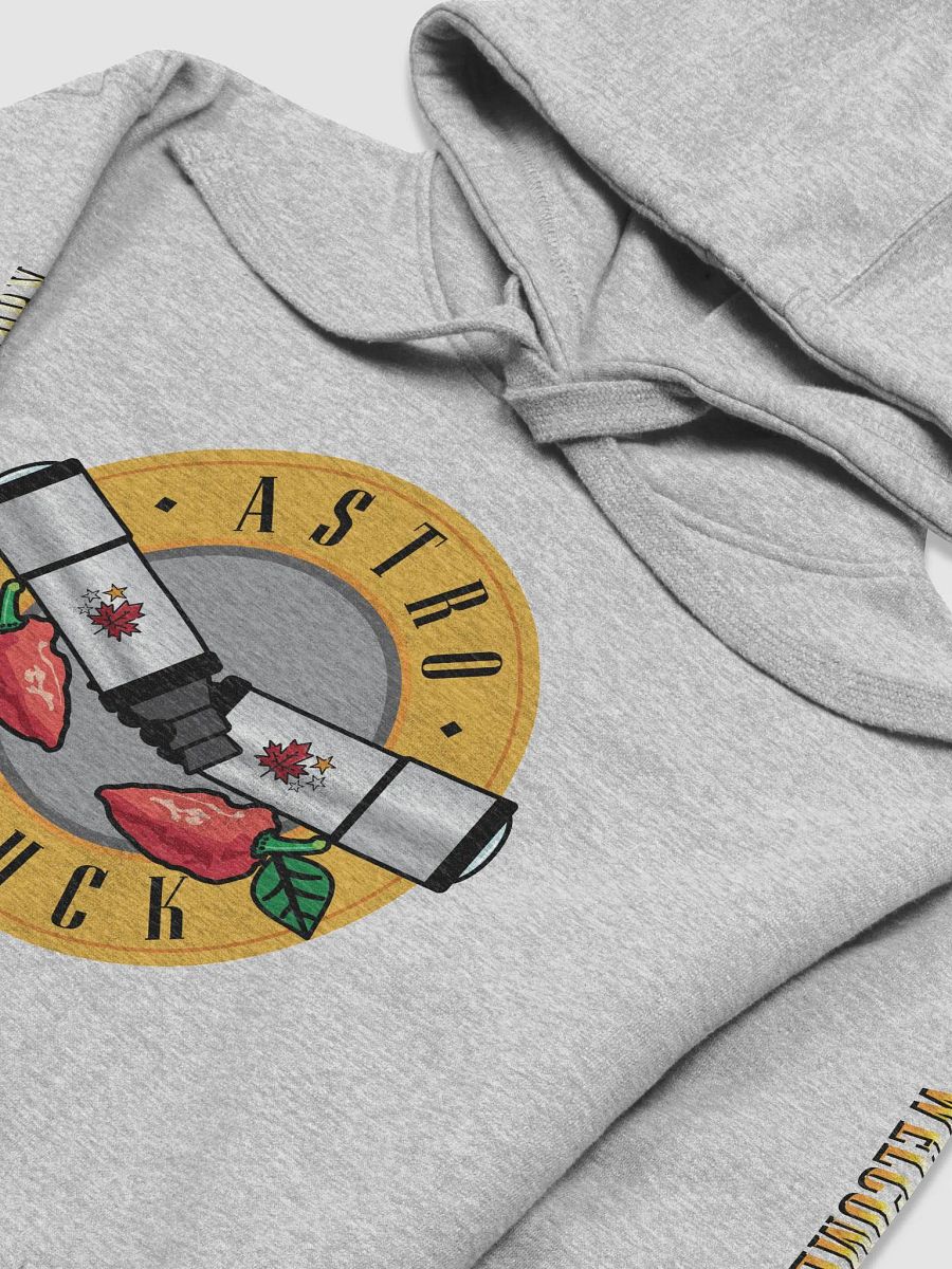Welcome to the Observatory - Hoodie product image (14)