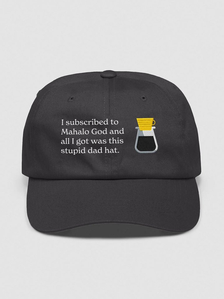 Dad Hat: All I Got Was This Stupid Hat product image (1)
