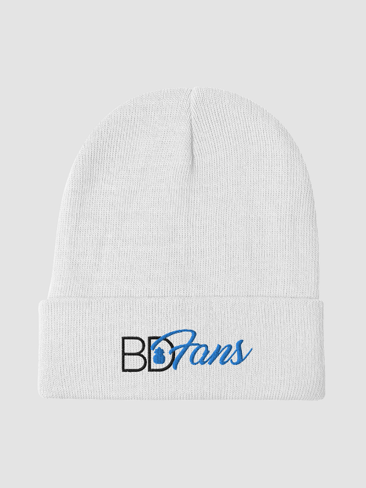 [BDBRENT] Otto Knit Beanie Otto Cap 82-480 product image (1)