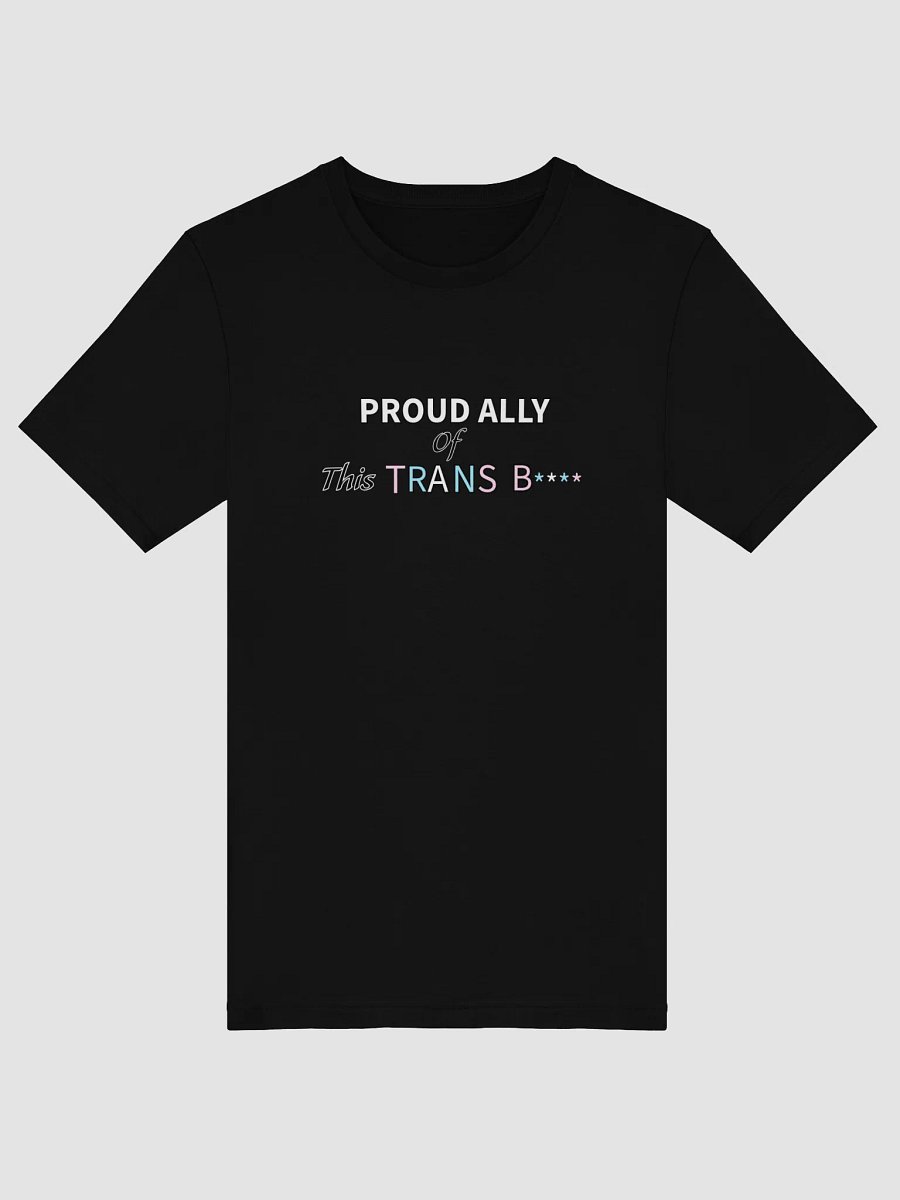 Pretty Proud Ally T (Trans) product image (17)