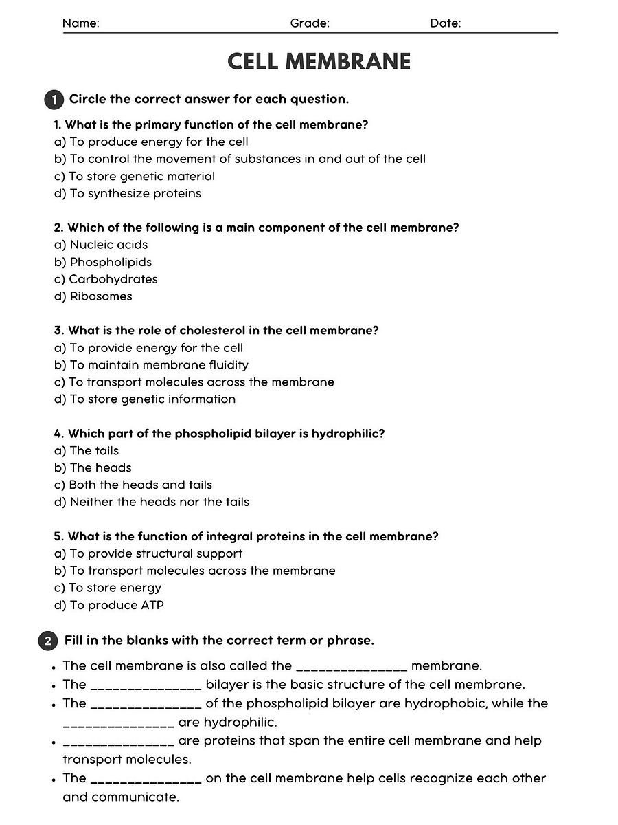 Cell Membrane Structure & Function Worksheet product image (1)