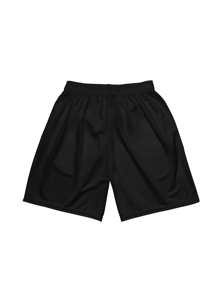 DWR Mesh Shorts product image (2)