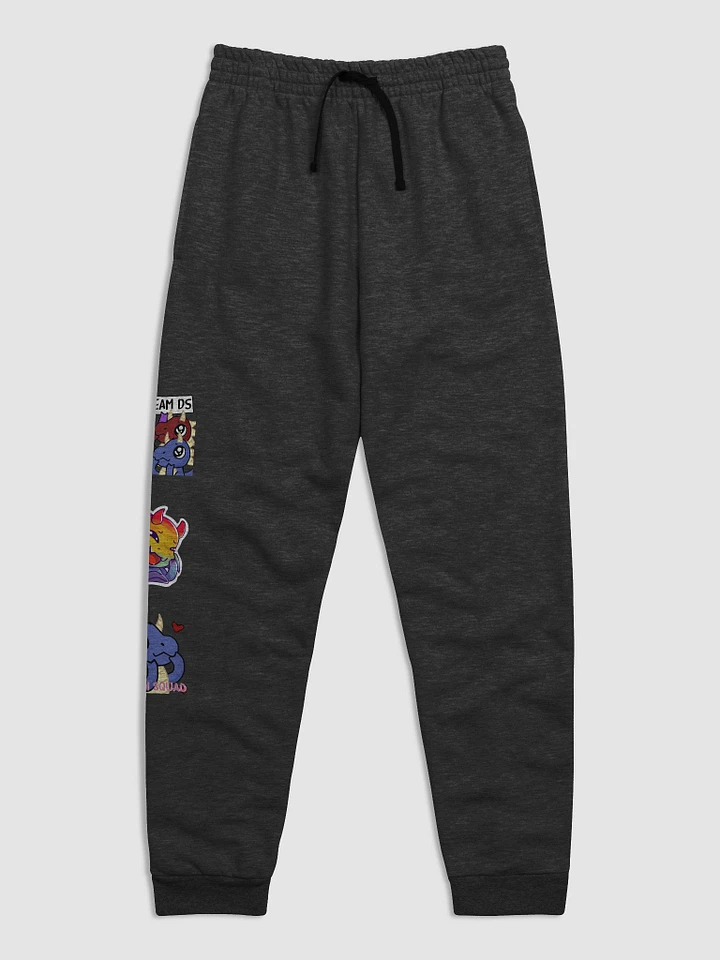 TEAM DS PANTS product image (1)