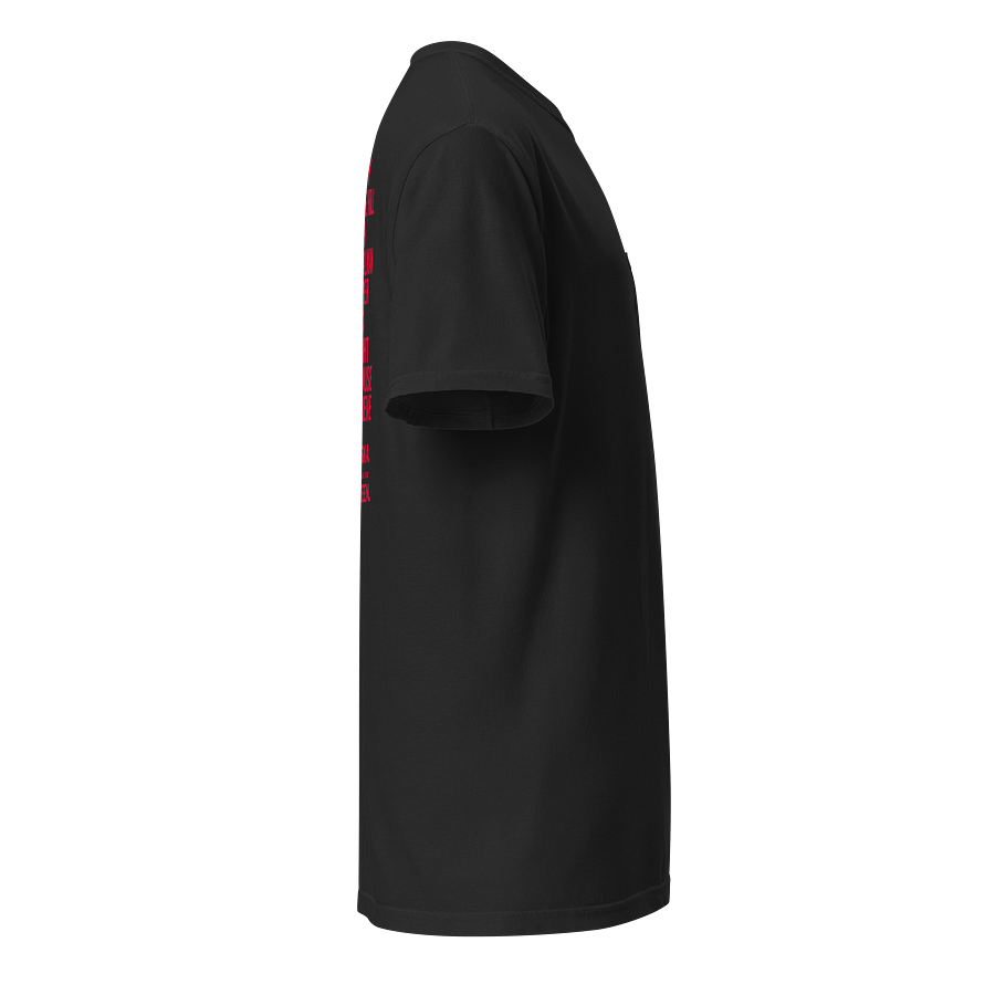 NEBRASKA POCKET TEE product image (8)