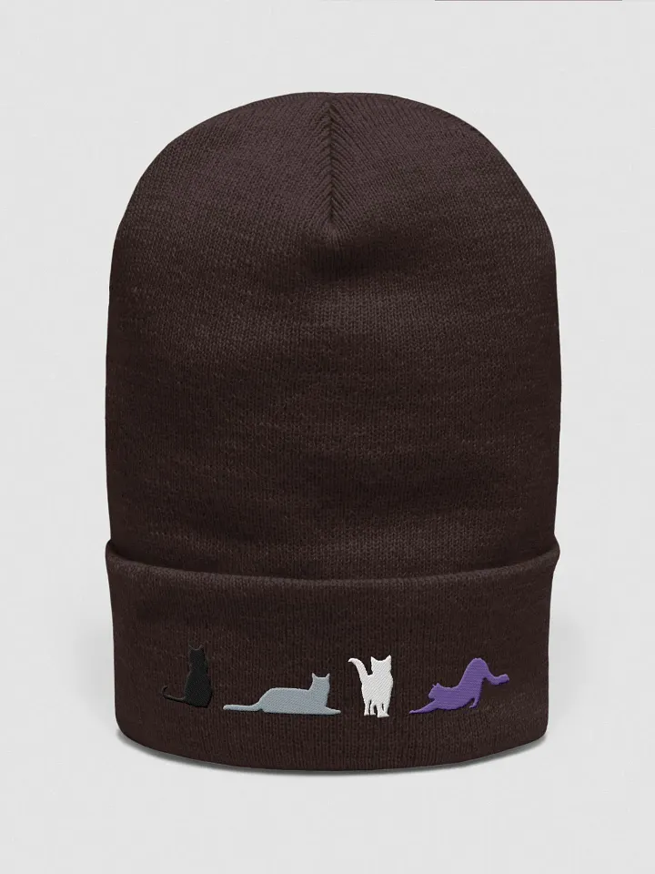 Asexual Pride Cats Beanie product image (4)