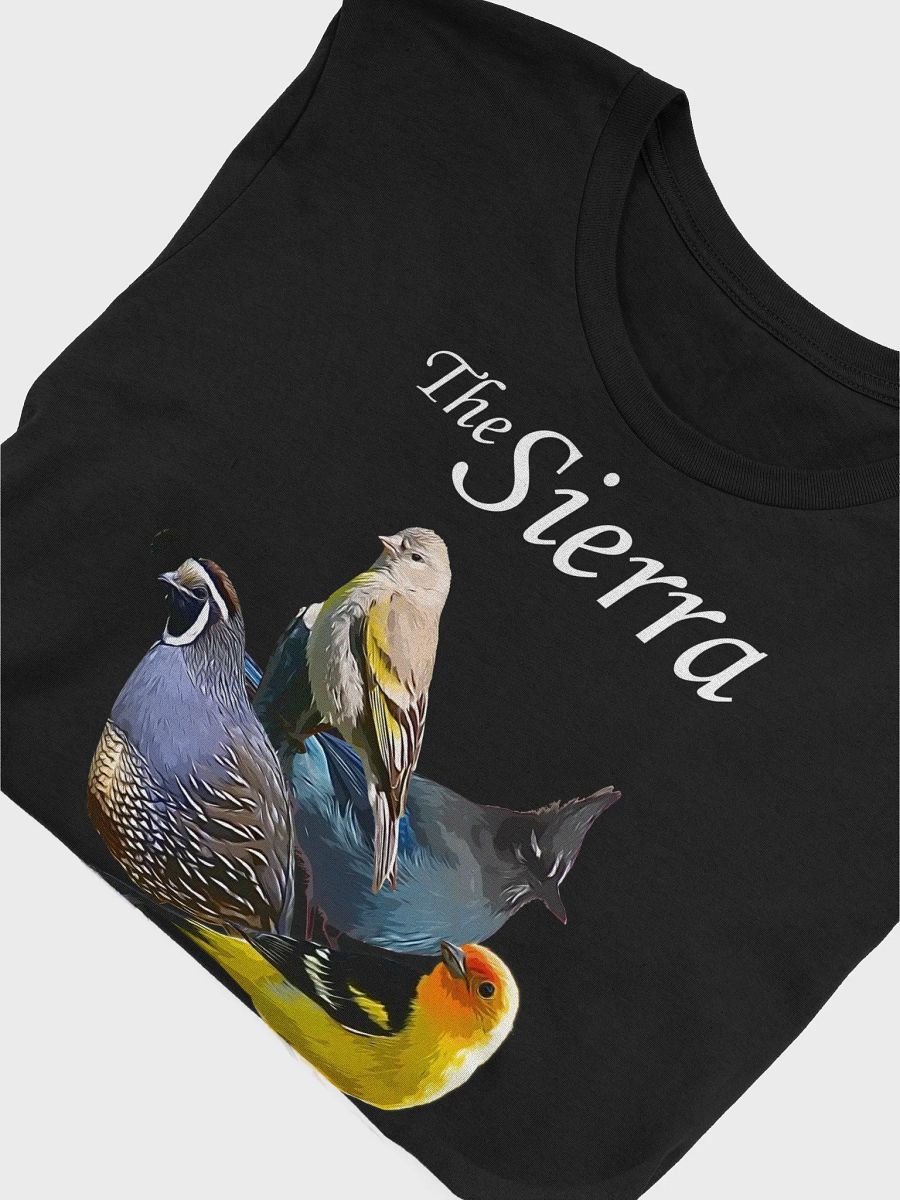 The Rio Grande Valley T-shirt product image (5)