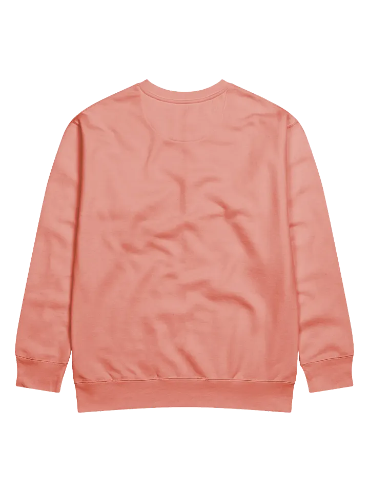 Silently Correcting Your Grammar Sweatshirt product image (8)