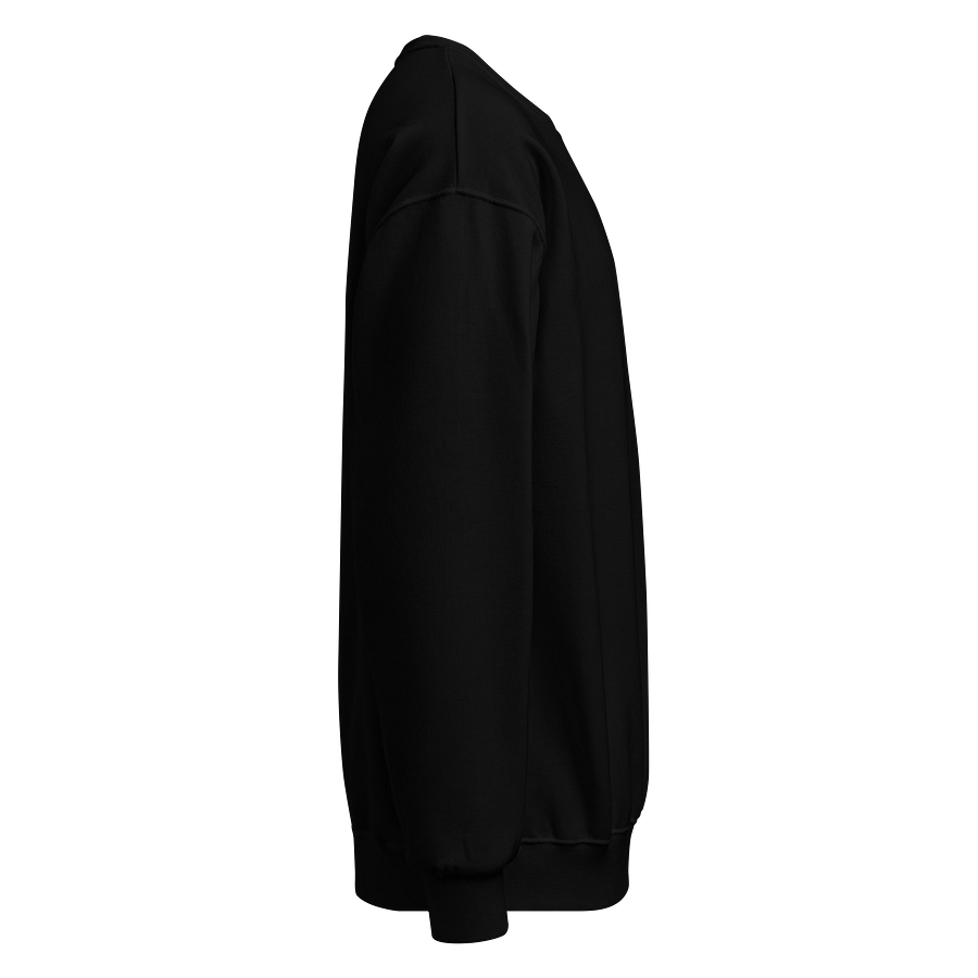 Gemini Embroidered Black on Black Long Sleeve Unisex Zodiac Sweatshirt Top product image (4)