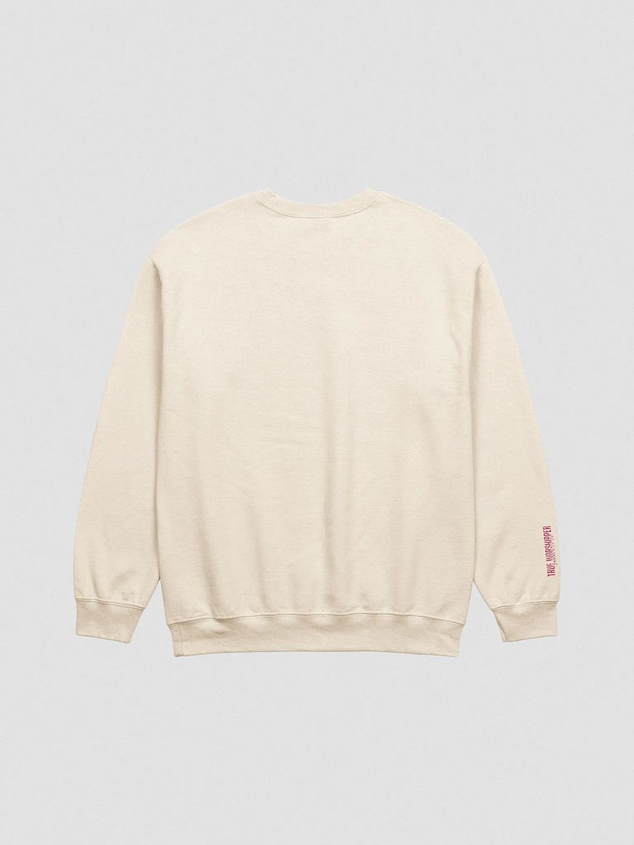 The Shouting Worshipper Embroidered Sweatshirt| Light Colors product image (8)