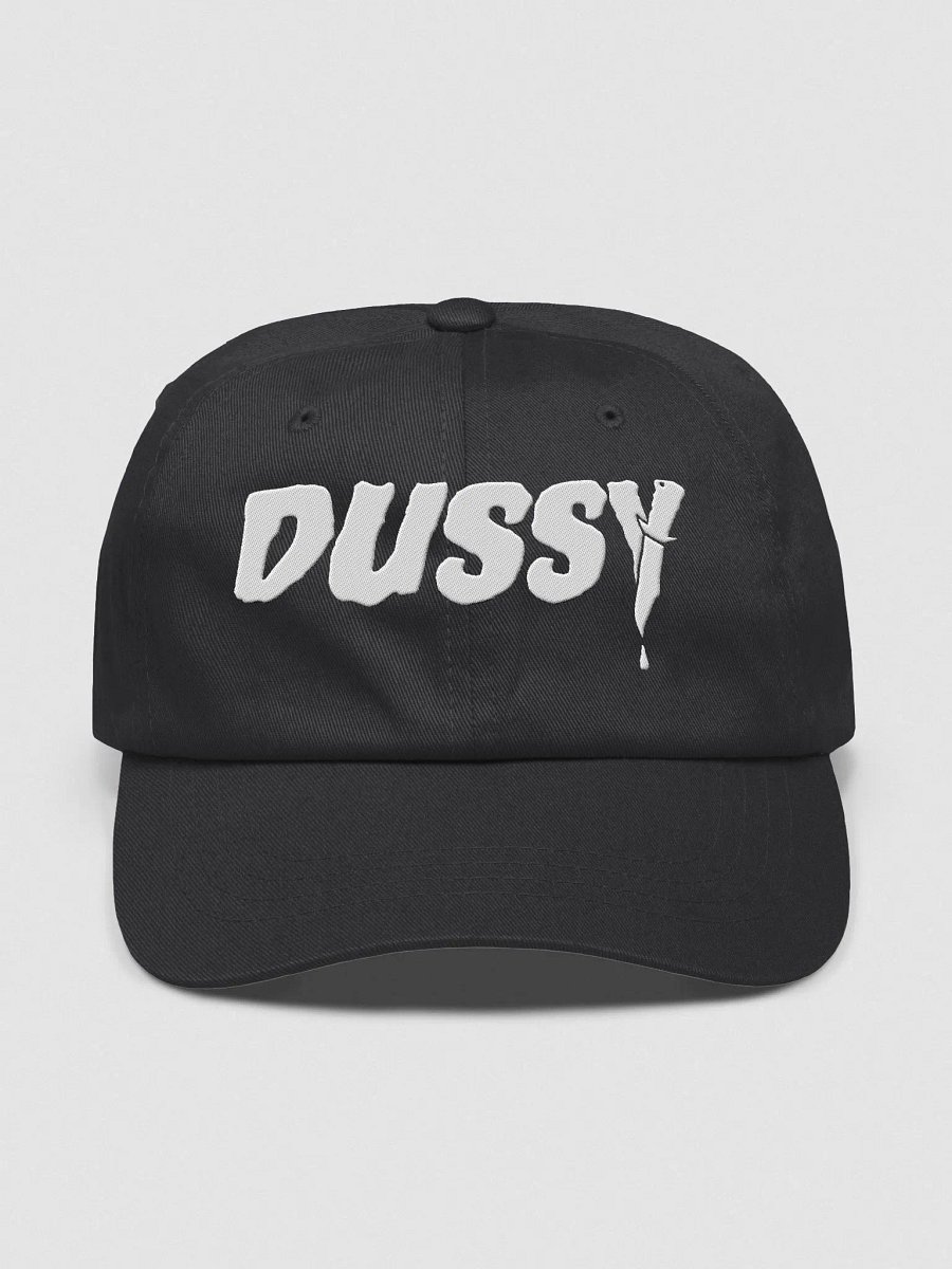 Embroidered Dussy 2025 Hat product image (2)