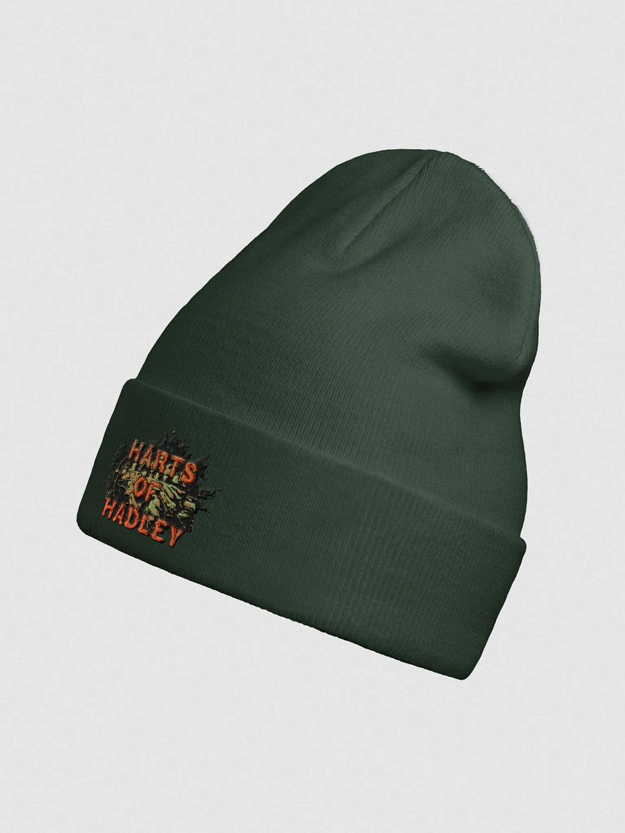 Harts Of Hadley Embroidered Logo Beanie (Branch Font) product image (19)