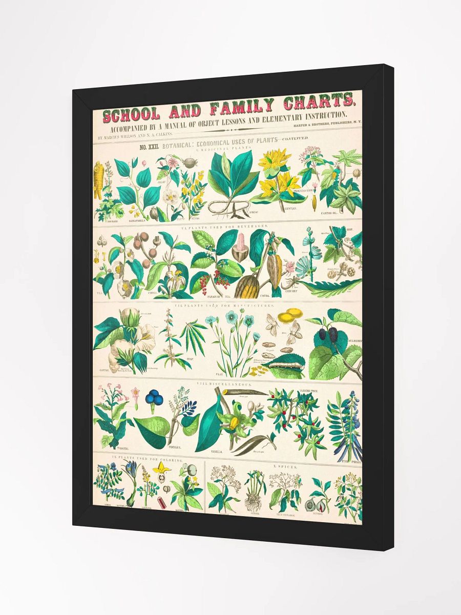 Botanical Uses Framed Art Print product image (9)