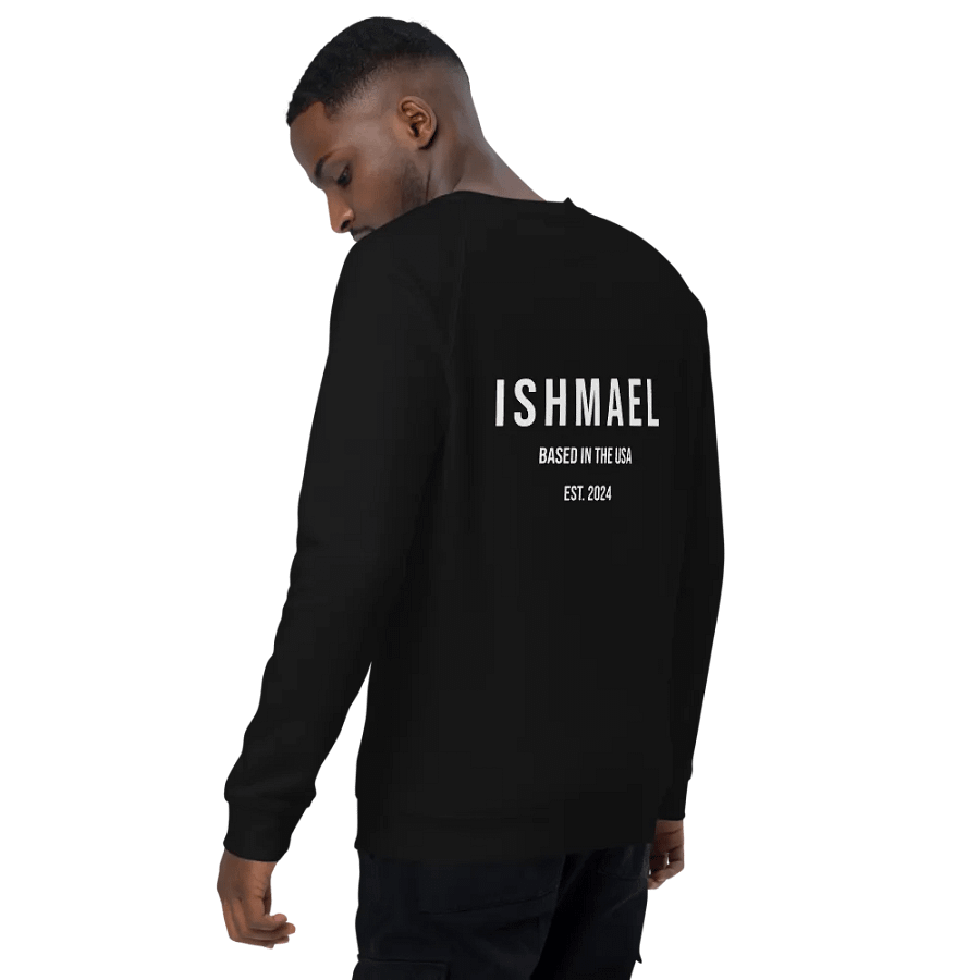 USA Sweatshirt product image (3)