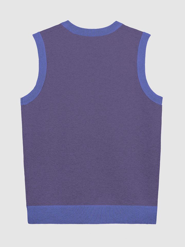 Bubbly and a B*tch (lg. design, violet and royal) knitwear vest product image (6)