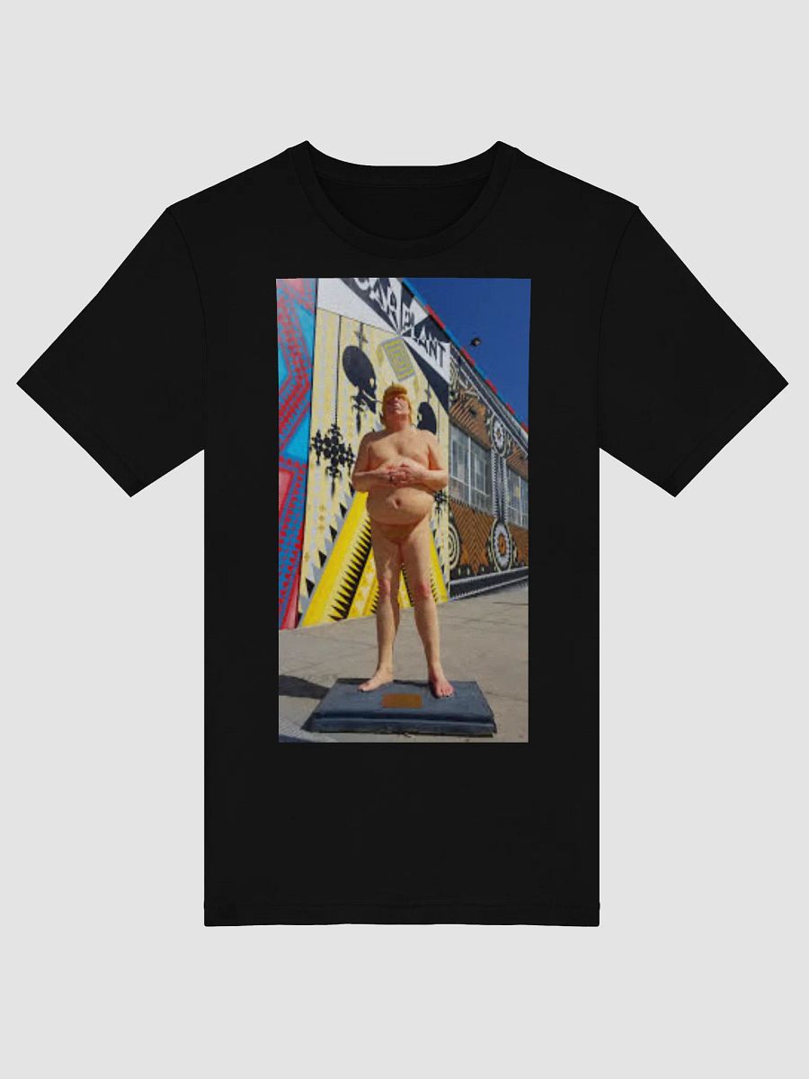 DONALD TRUMP MAKE AMERICA GREAT AGAIN product image (1)