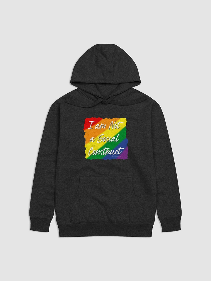 I am Not a Social Construct - Pride 2 - Hoodie product image (1)