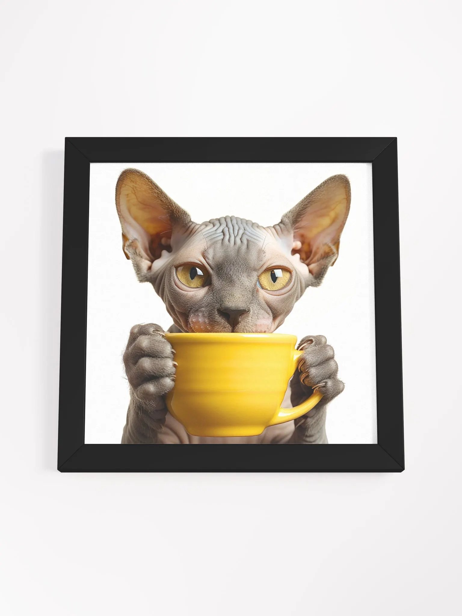 Coffee Lover Cute Grey Hairless Sphynx Kitten Framed Wall Art product image (4)