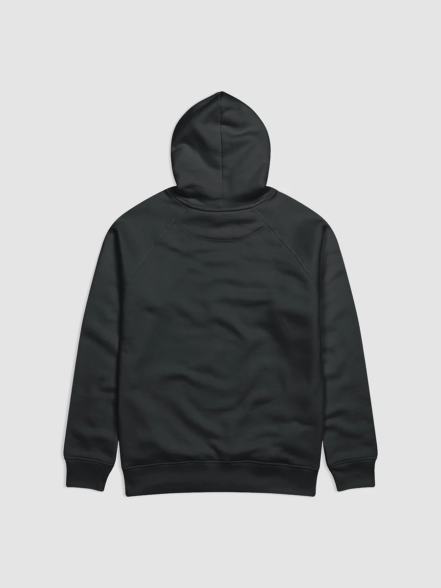 AOS Hoodie product image (2)