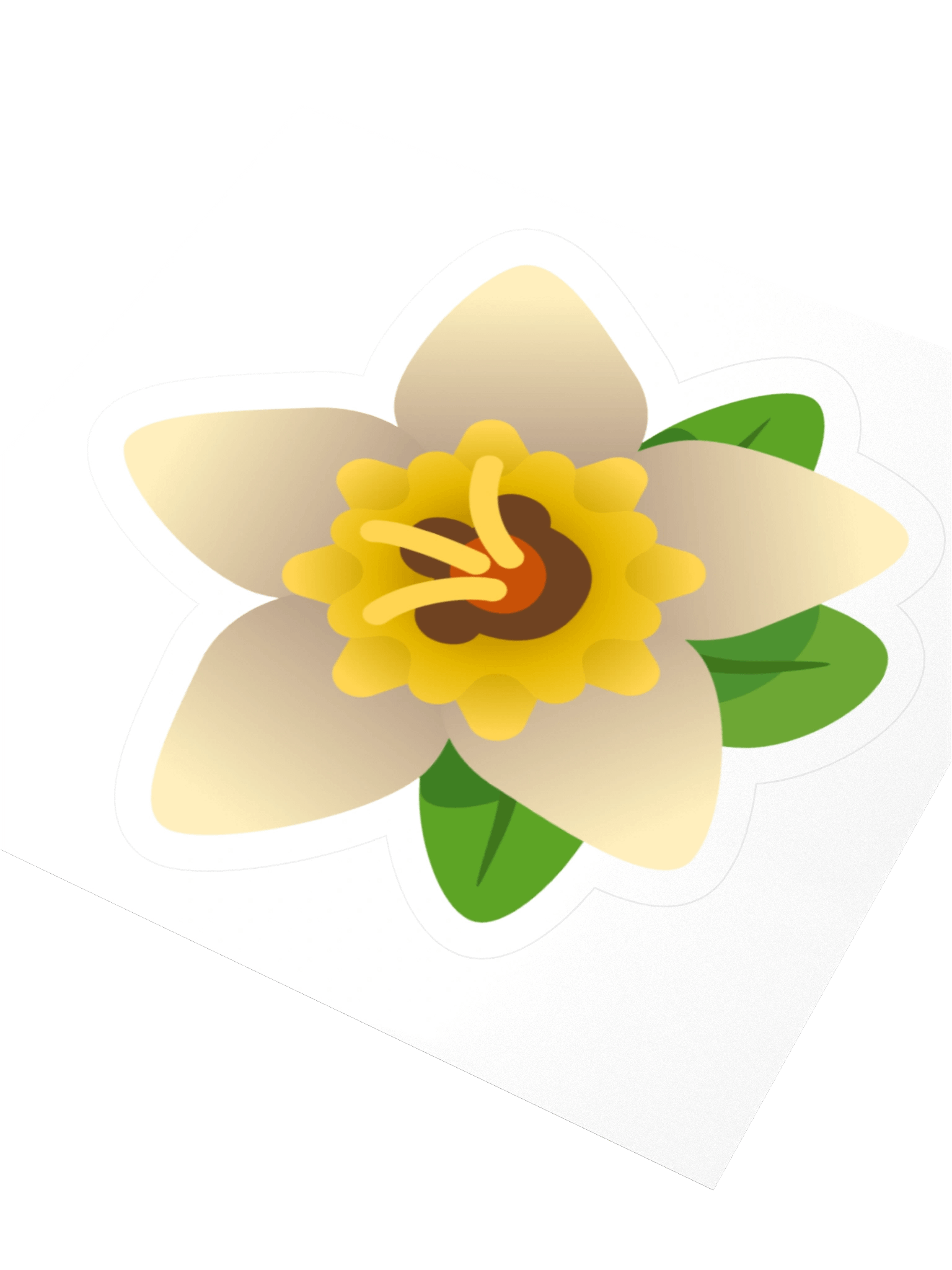 Daffodil product image (3)