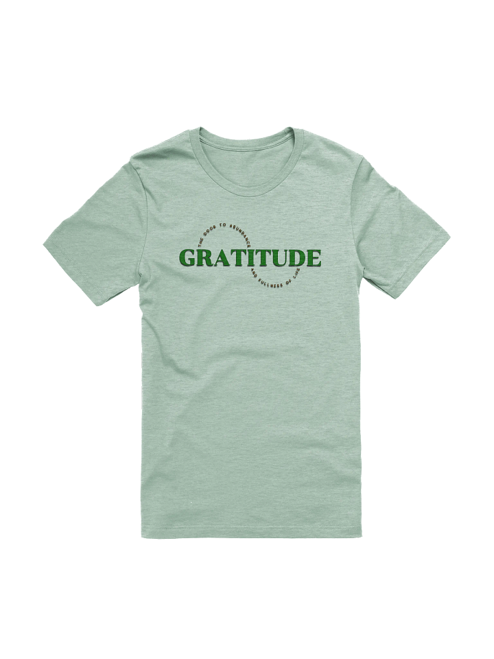 Gratitude Abundance Tee product image (1)