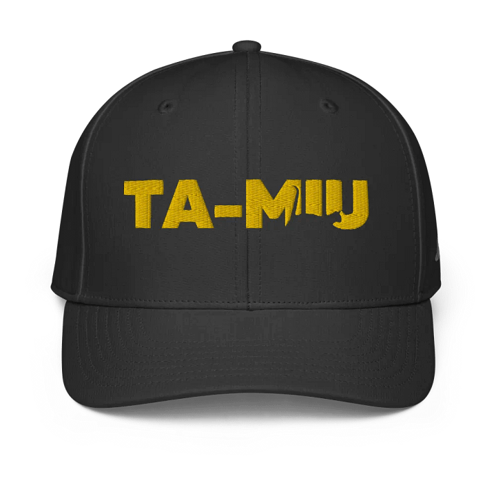 TA-MIU Bold Performance Cap product image (1)