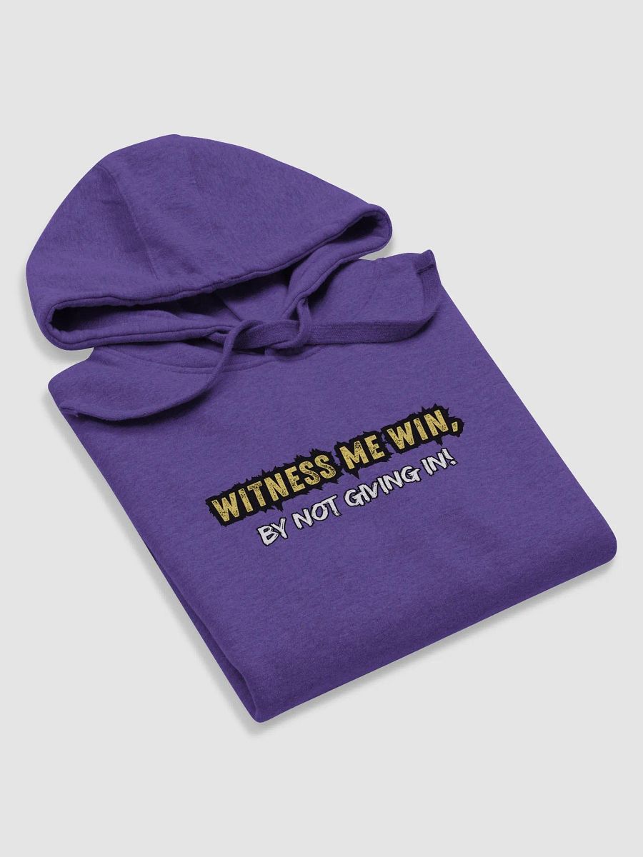 Winners Hoody product image (4)