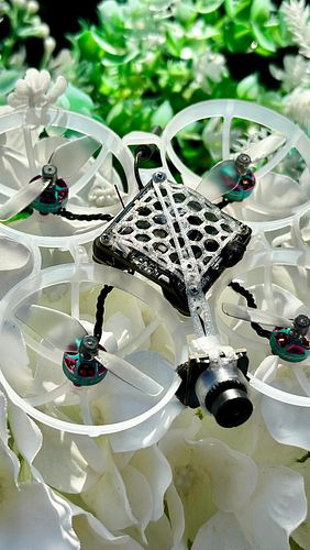 More cruising with the 1s 75mm Walksnail build! Such a fun little whoop to whip around and annoy your dogs with :) 

Even the...