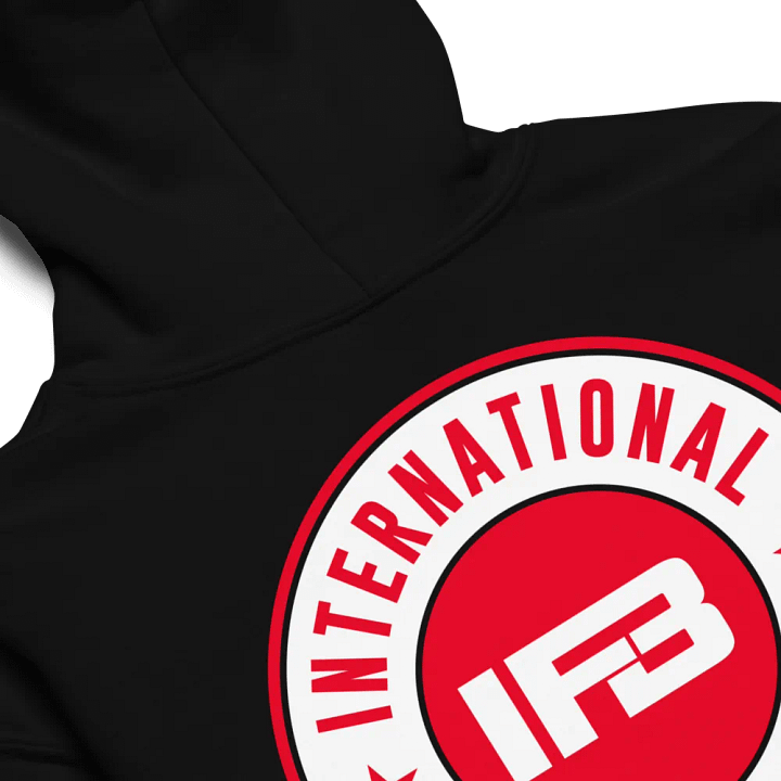 IFBNewsfeed.Org's Gildan Youth Heavy Blend Hoodie product image (2)